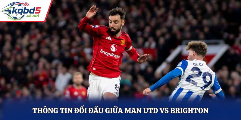 Thông tin đối đầu giữa Man Utd vs Brighton